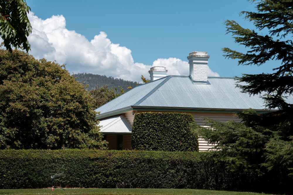 Consider Before Choosing a Green Roof