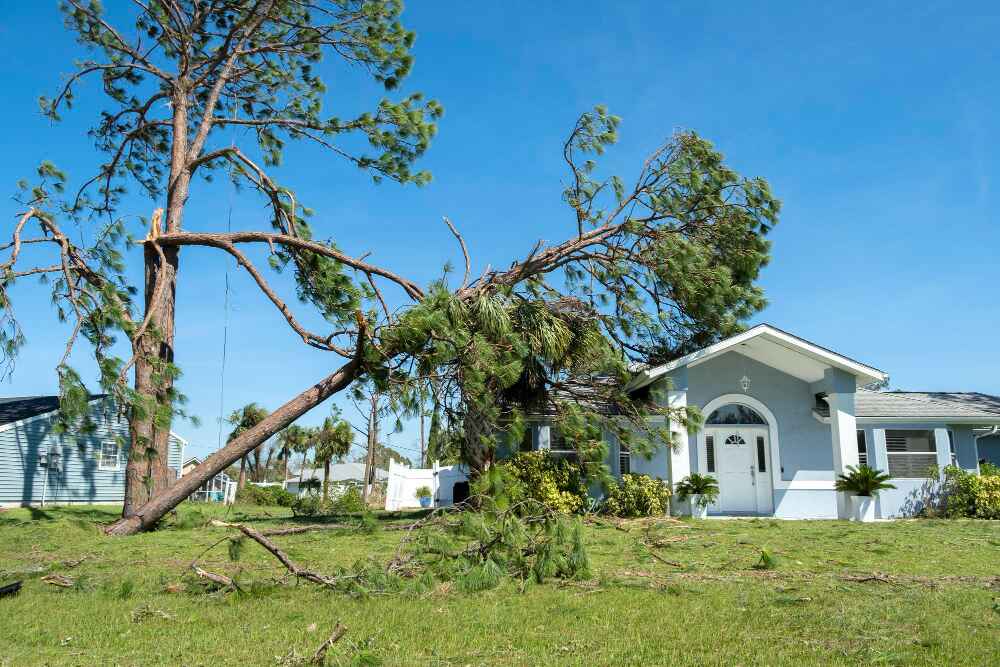 The Wind Damage Repair Process