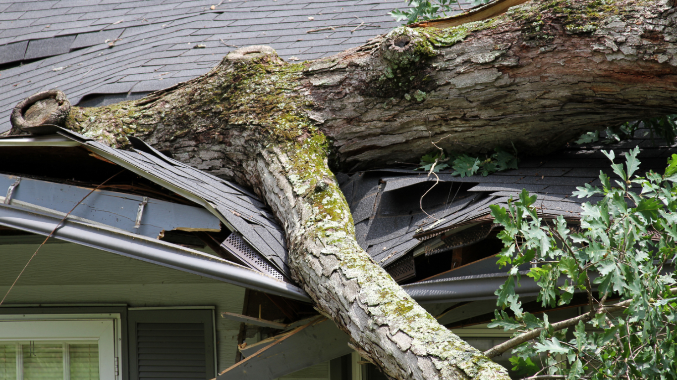 Fall Damage Background Repairing Roof Damage Caused by Falling Trees in Oklahoma - Nations ...