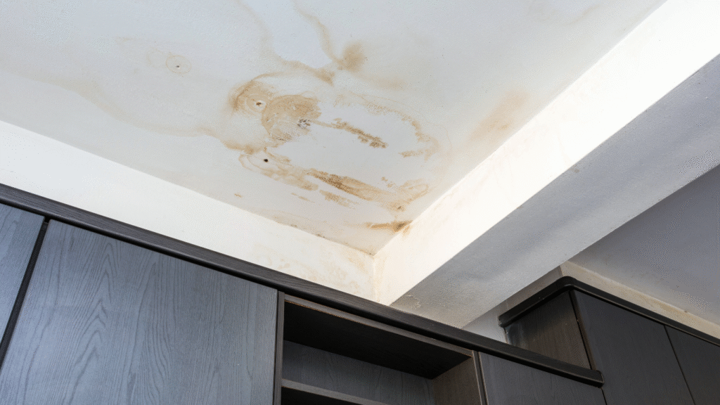 Roof Leak Repair