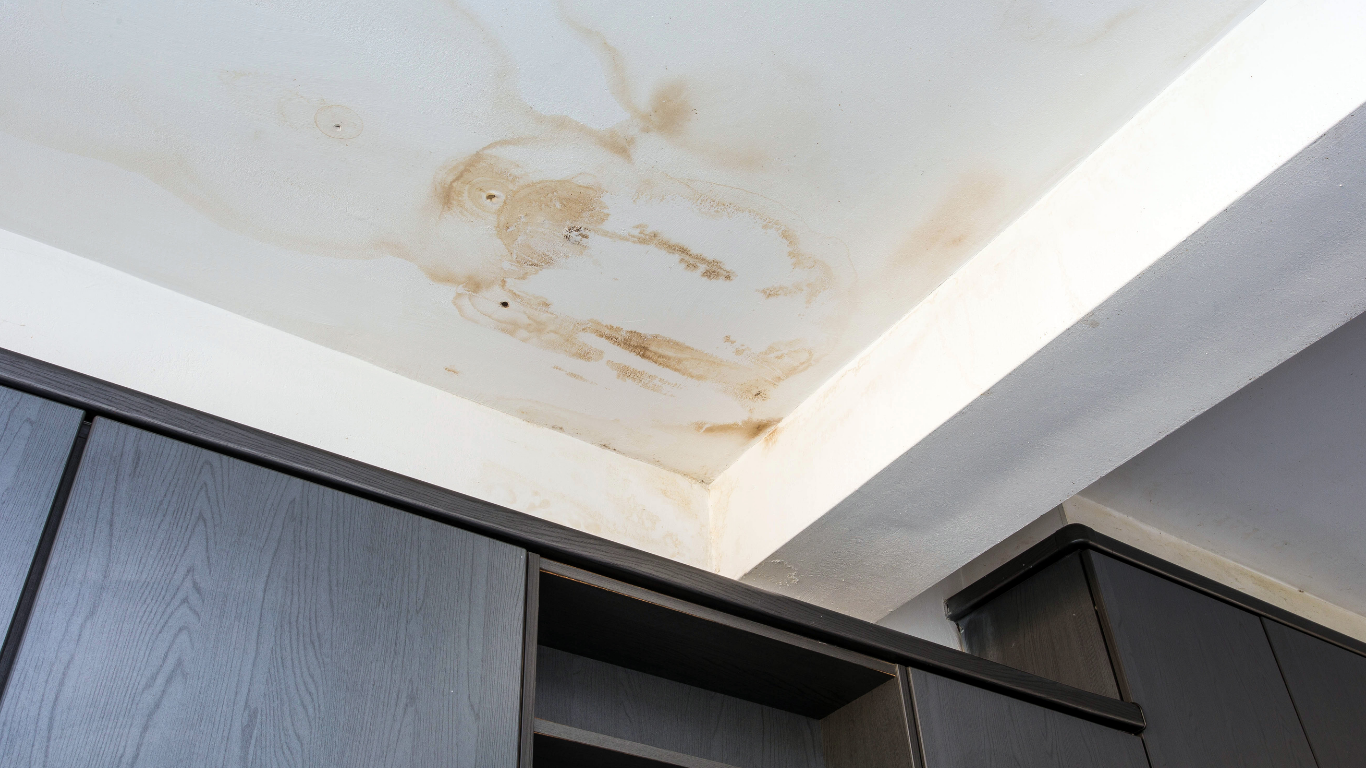 Roof Leak Repair